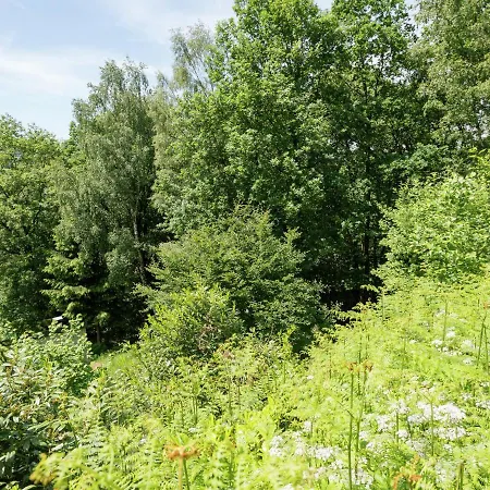 Feriehus Cosy Holiday In Ardennes By The Forest Trois-Ponts